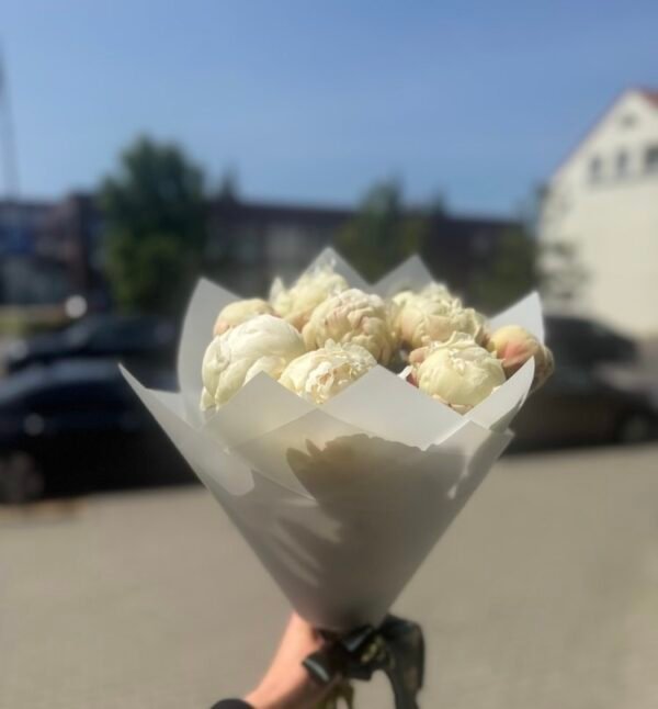 🤍 Baltų bijūnų puokštė (9 vnt.)
