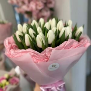 Baltos tulpės su rožiniu akcentu