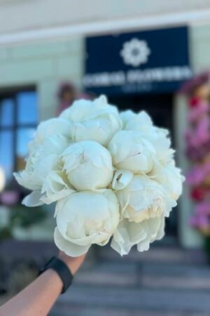 Nuotakos puokštė "White peonies "