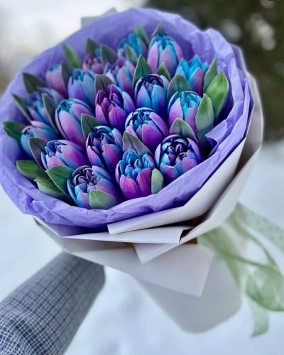 03352fa2-1396-4a15-8086-8627c6cb2dbb