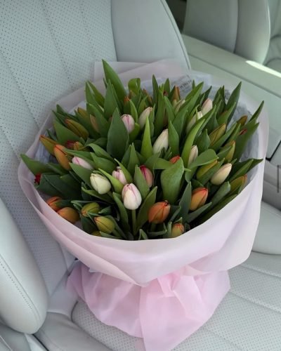 1ac0e63a-1d6c-4961-9411-61dce37e95a4