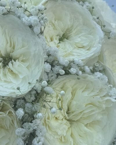 53c1ce7e-3b95-4ff9-82dc-b9996e21a07a