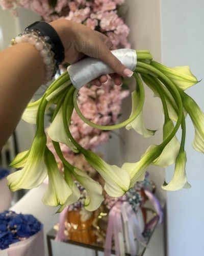 6537fd1c-267f-4be0-89ef-39f3a5d551ca