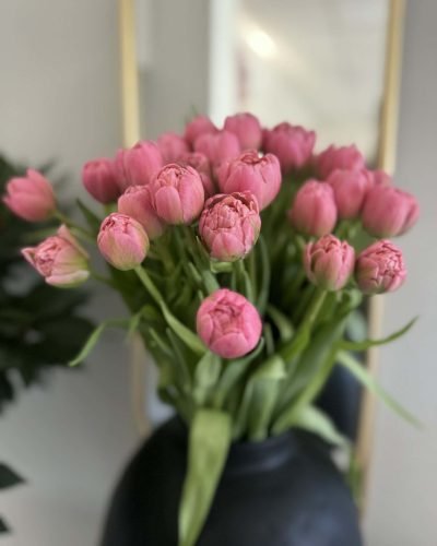 7775695f-9512-4bb6-81b0-e732f19d2ac5