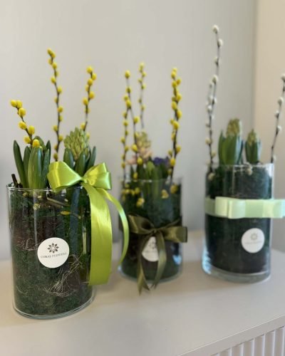 b77306c1-04ba-480a-8e89-21a337d9f5a5