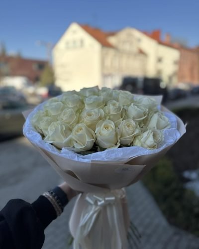 b932c9c5-3b31-4548-96bf-4a8978b805c9