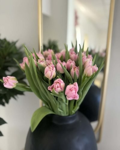 d6e5595a-c3c5-4f11-88d4-7466b42d8f11