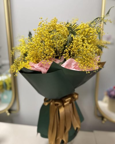 de3ee2df-81a8-440e-9efe-07c579ed1230